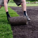 Fratelli Bonoldi - Progettazione e Realizzazione Giardini e Tappeti erbosi - Prati a Rotoli