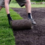 Fratelli Bonoldi - Progettazione e Realizzazione Giardini e Tappeti erbosi - Prati a Rotoli