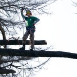 Fratelli Bonoldi Giardini - Tree Climbing Milano