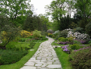 Fratelli Bonoldi: seguiamo tutte le fasi della realizzazione del vostro giardino