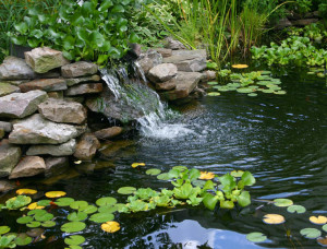 fratelli bonoldi - laghetti artificiali ed elementi acquatici, per i vostri giardini