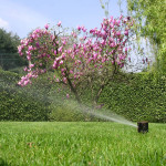 Impianti di Irrigazione e Giardini in perfetta armonia - Fratelli Bonoldi MIlano