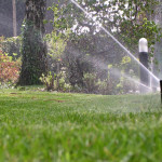 impianti di irrigazione per giardini - Fratelli Bonoldi Milano