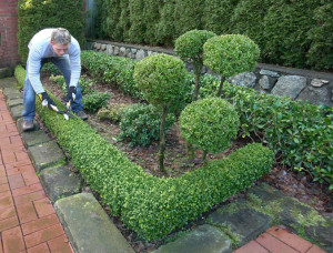 Fratelli Bonoldi: per la Manutenzione e la cura del giardino