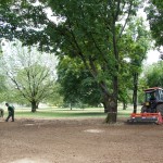 Fratelli Bonoldi Milano - manutenzione verde e giardini