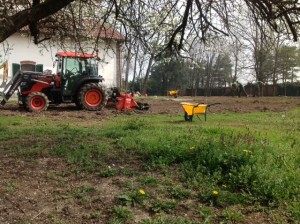 Manutenzione straordinaria Agriturismo Cascina Resta a Vittuone: potatura, fresatura ceppi e manutenzione manto erboso